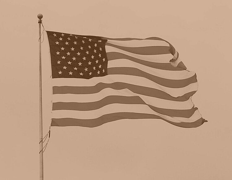 Sepia American Flag