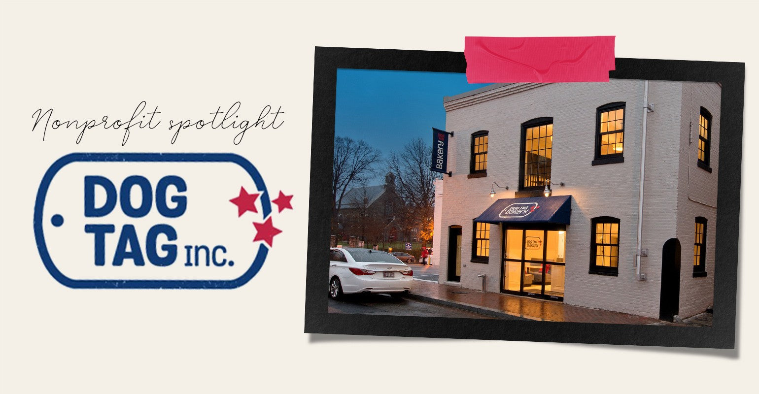 Dog Tag Inc.: Nonprofit Spotlight